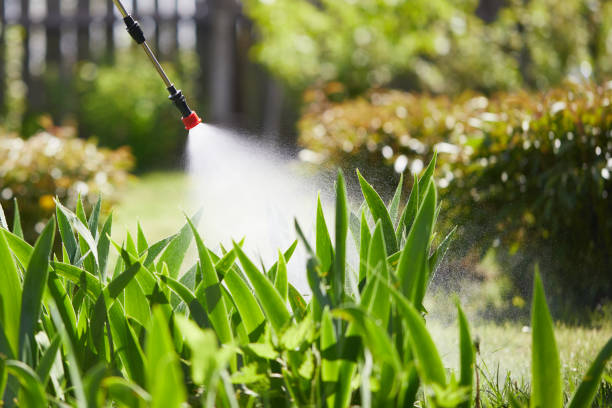 24/7 Emergency Cockroach Control experts in North Enid, OK