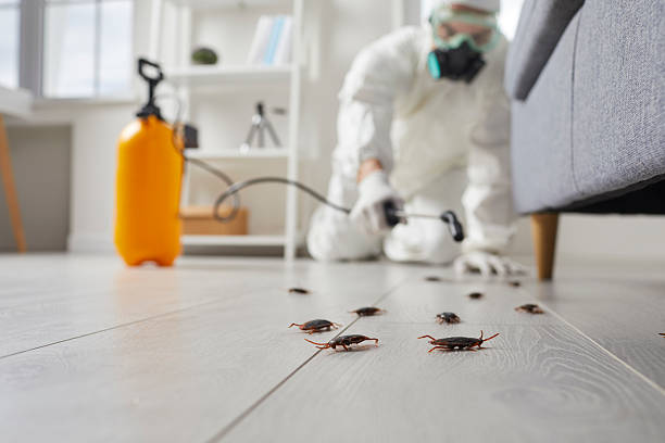Trusted Emergency Pest Control service in North Enid, OK - Nex Pest Control